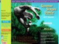 summerstagesdance.org