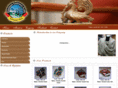himalayancashmerecrafts.com