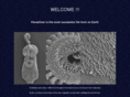 marineparasitology.com