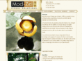 mod-zel.com