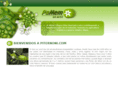 piternoni.com