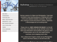 skybookings.com