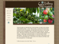 snovalleyroasters.com