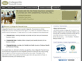 collegevillefinancial.com