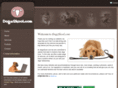 dogzskool.com