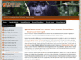 gorillatoursuganda.com