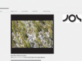 joysavannah.com