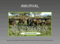 amurval.com