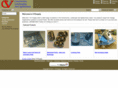 cvsupply.com