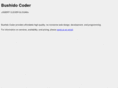 bushido-coder.com