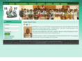 gontseschool.org