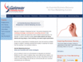 gtmsuccess.com