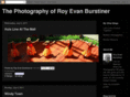 royevan.com