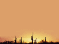 tucsonretreat.com