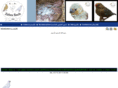 abzebrafinch.com