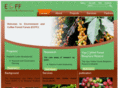 ecff.org.et