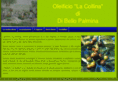 oleificiolacollina.com