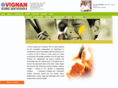 vignanschools.org