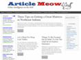 articlemeow.com