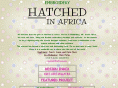 hatchedinafrica.com