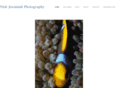 nickjeremiah.com