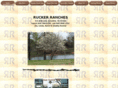 ruckerranches.com