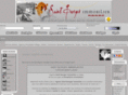 saint-georges-immobilier.com