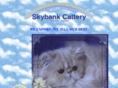 skybankaustralia.com