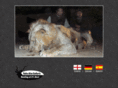 takeaimsafaris.com