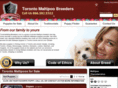 torontomaltipoobreeders.com