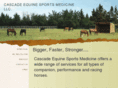 cascadeequinesportsmedicine.com