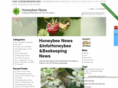honeybee-info.com