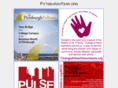 pittsburgyear.com