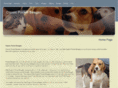 classicpocketbeagles.com