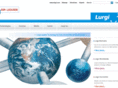 lurgiinc.com