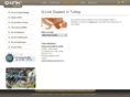 qlinkturkey.com