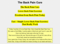 back-pain-reliefonline.com
