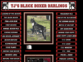 blackboxerdarlings.com