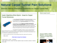 carpaltunnelpainsolutions.com