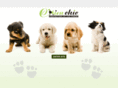 chienchic.com
