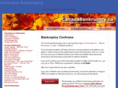 cochranebankruptcy.com