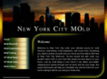 newyorkcitymold.com