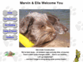 rosepaws.com