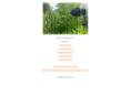 gardenfish.net