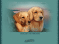valorgoldens.com