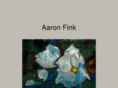 aaronfink.com