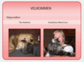 boerboel.dk