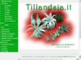 tillandsie.net