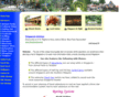 adventuressingapore.com
