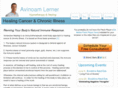 avinoamlerner.com